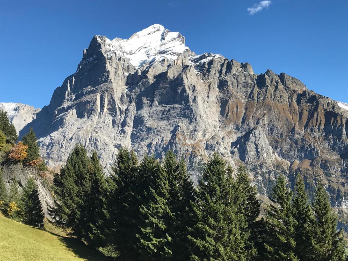 Chalet Sunneblick Grindelwald Ngoại thất bức ảnh